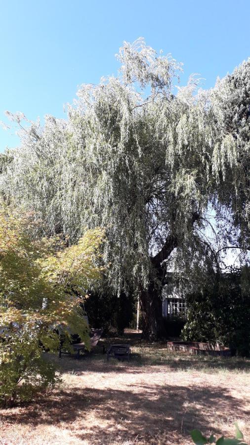 L' Abri Du Saule Villa Aussillon Bagian luar foto